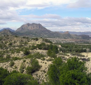 Sierra del Oro