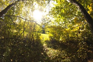 IMG_9208[1]