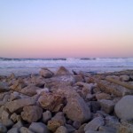 IMAG0448