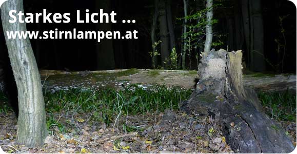 Starkes Licht mit Pirat LED Stirnlampen.
