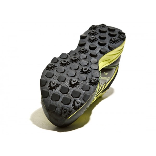 Icebug ANIMA BUGrip Schuhe 2