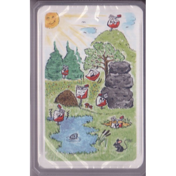 Orientierungslauf Kartenspiel 2