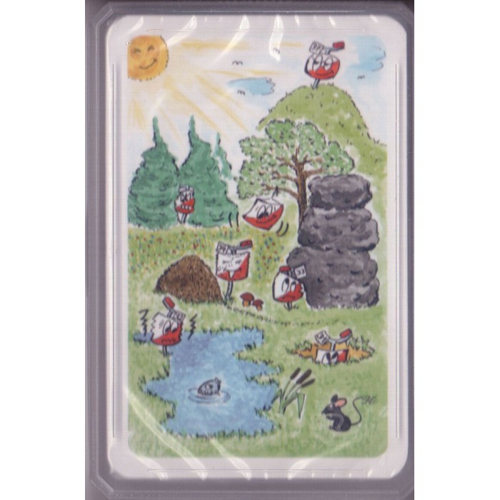 Orientierungslauf Kartenspiel