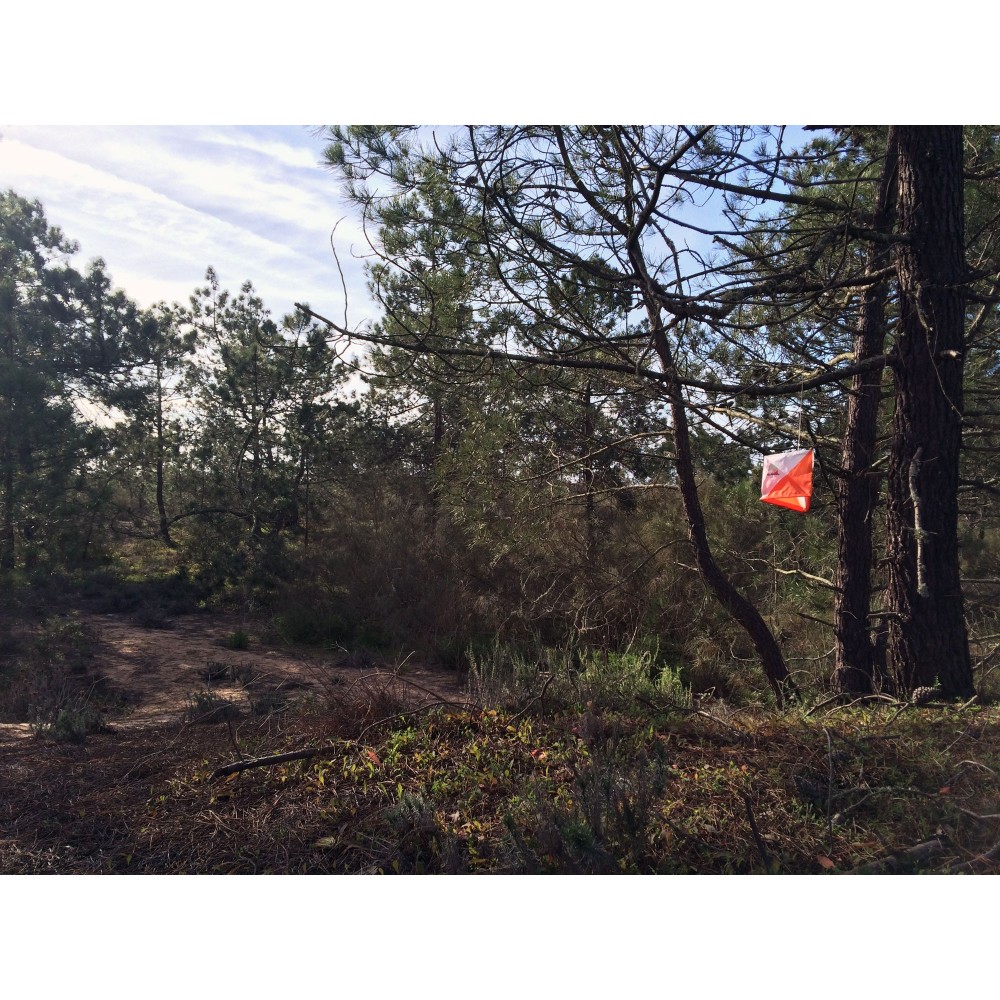 Orienteringsskärm i sin naturliga omgivning.