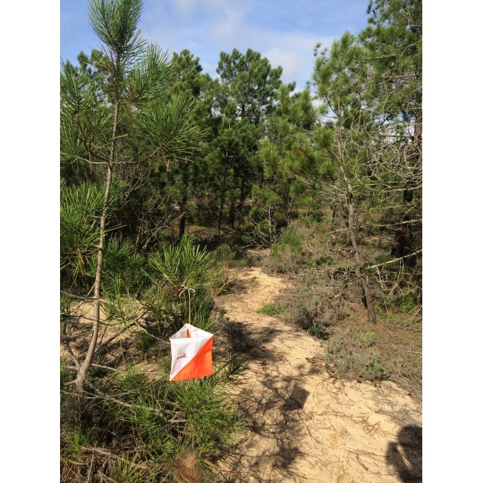 OL-Shop Postenschirm 15x15cm Set (10 Stück)