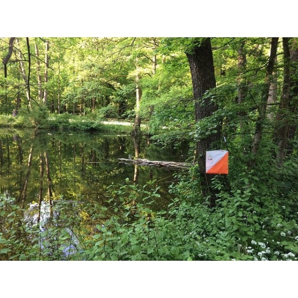 Orientierungslauf-Kit (OL-Posten + Markierzangen)