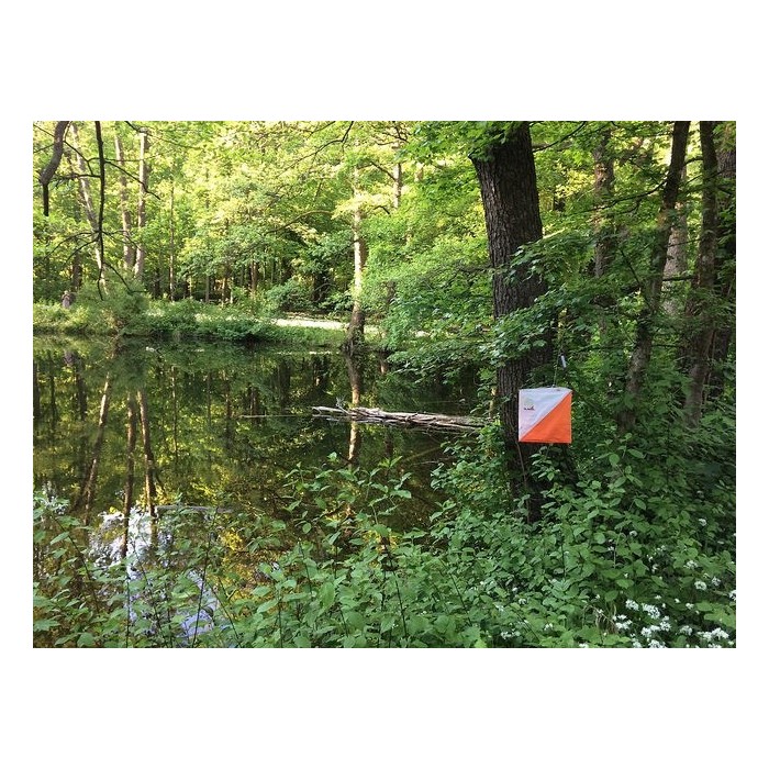 Orienteering Kit (Flags + Punches)